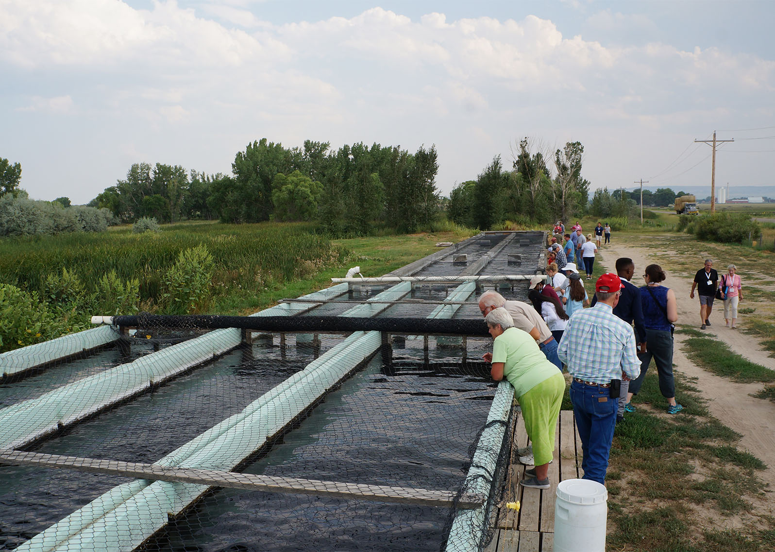 People looking into large water tanks