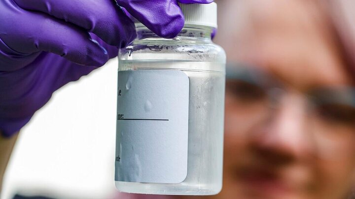 Person looking at laboratory container