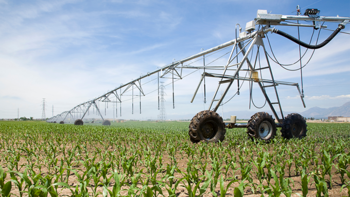 Center pivot in field