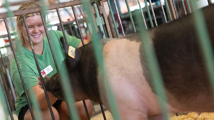 Person working with livestock