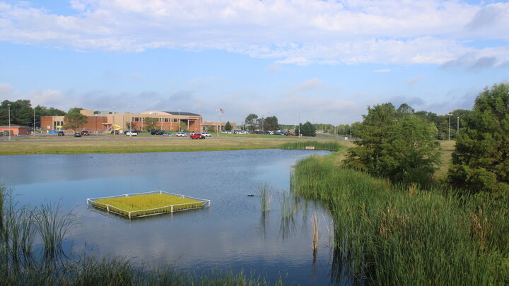 Floating wetlands on pond