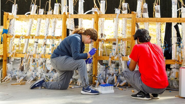 Two people working on water samples