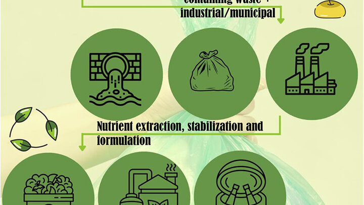 Infographic