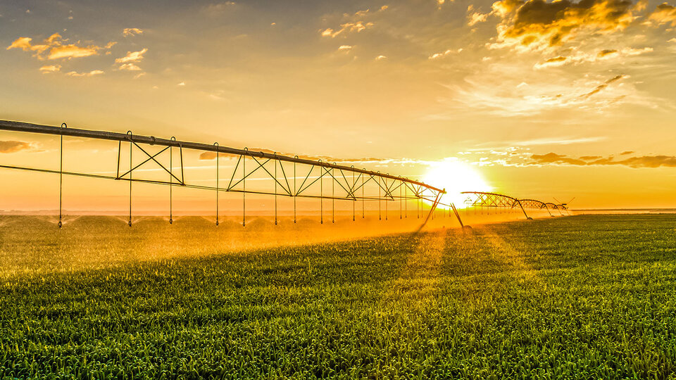 Sunset over center pivot in green field