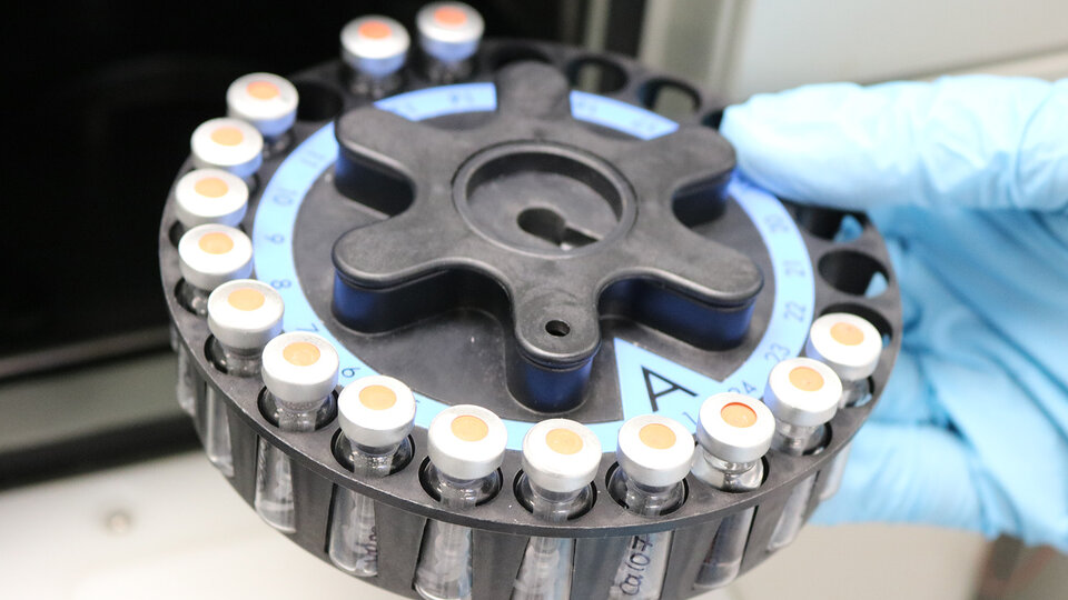 Person holding laboratory equipment