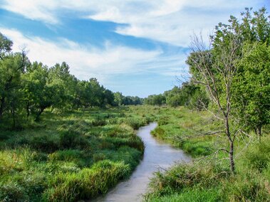 Stream running through grass area