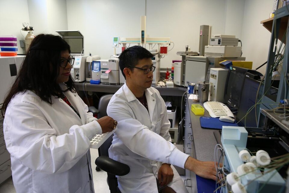 Two people standing in laboratory