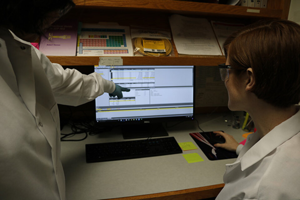 Lab technicians looking at computer screen