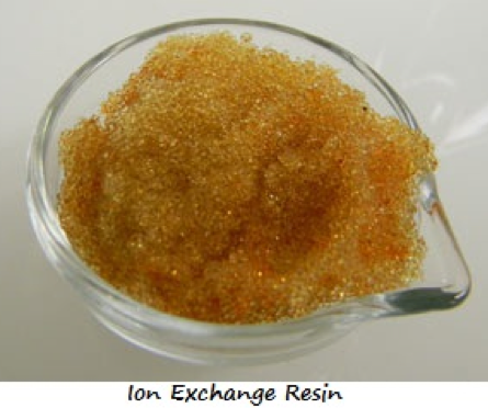 Photo of dish with ion exchange resin
