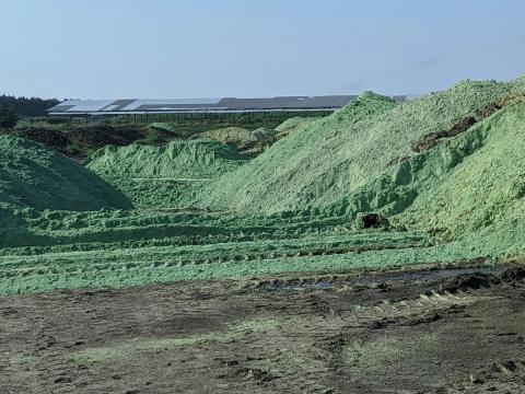 Green waste in large pile