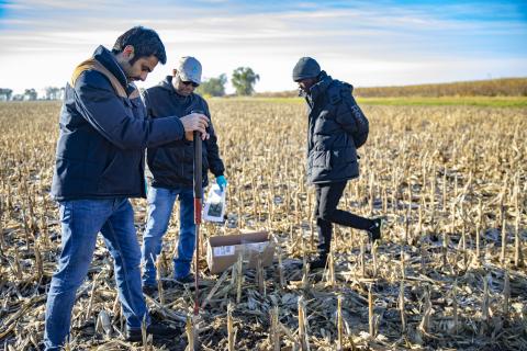 Research team working in corn field